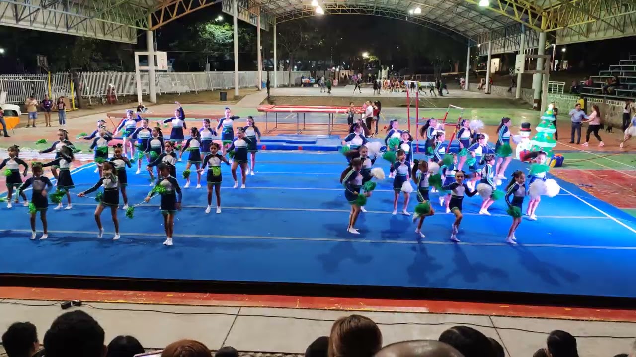 Pomponeras y bastoneras de villa de alvarez colima