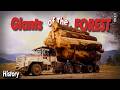 The Day KENWORTH'S GIANTS Conquered the Forest | History