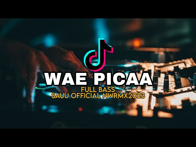 DJ WAE PICA FULLBASS VIRAL TIKTOK - SAUUNWRMX2023 class=