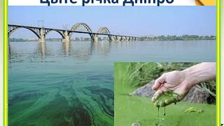 Презентация Вплив Антропогенних І Техногенних Факторів На Дніпро