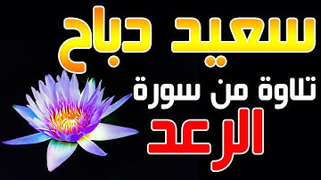 القارئ سعيد دباح | تلاوة من سورة الرعد - جودة عالية