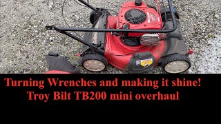 Troy Bilt TB200 basic maintenance and cleaning