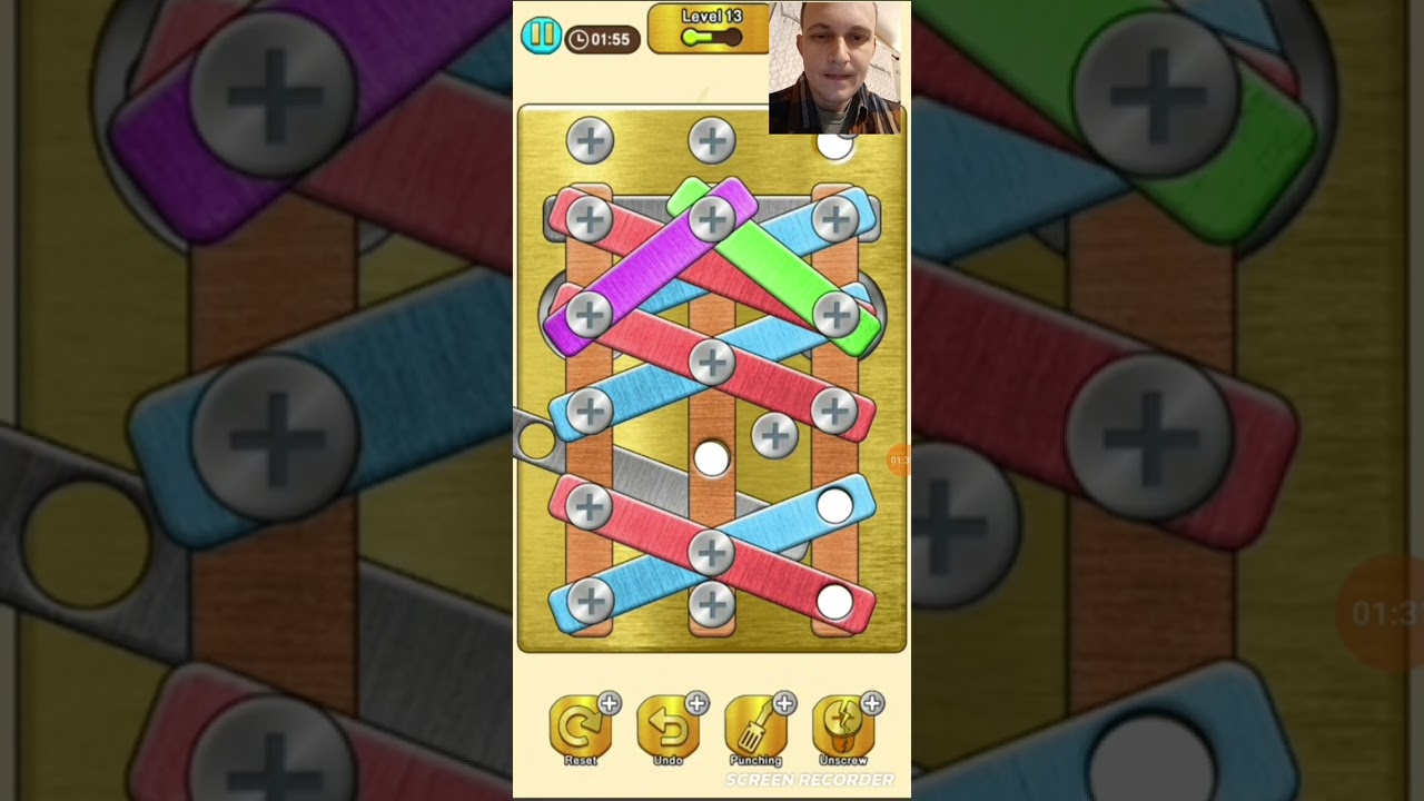 screw pin Puzzle level 13