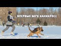 СОРЕВНОВАНИЯ ПО КАНИКРОССУ!