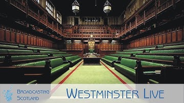 Westminster Live - 11/07/2019
