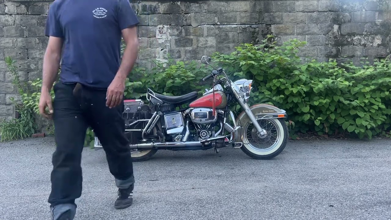 1981 Harley Heritage Peas and Carrots Shovelhead FLH Electra Glide