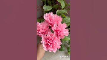DIY Carnation flower with crepe paper | Handmade #diy #crepepaper #carnations #flowers