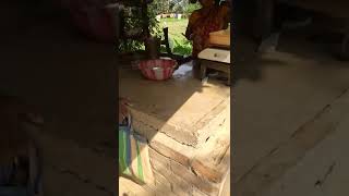 Butcher Lady In Village
