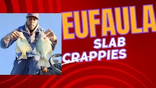 ((How to livescope pre spawn crappie)) SLABS lake eufaula Ok ((FULL MOON))