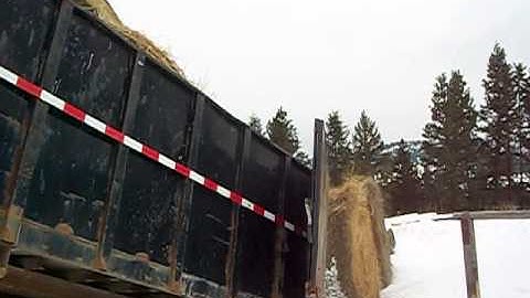 Unloading Round Bales From The Dump Trailer