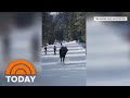 Watch a moose join skiers on a fun downhill run (video)