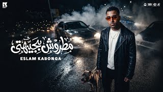 مطروش بجيهتي انا بلدوزر البلد اسلام كابونجا البوم العيد