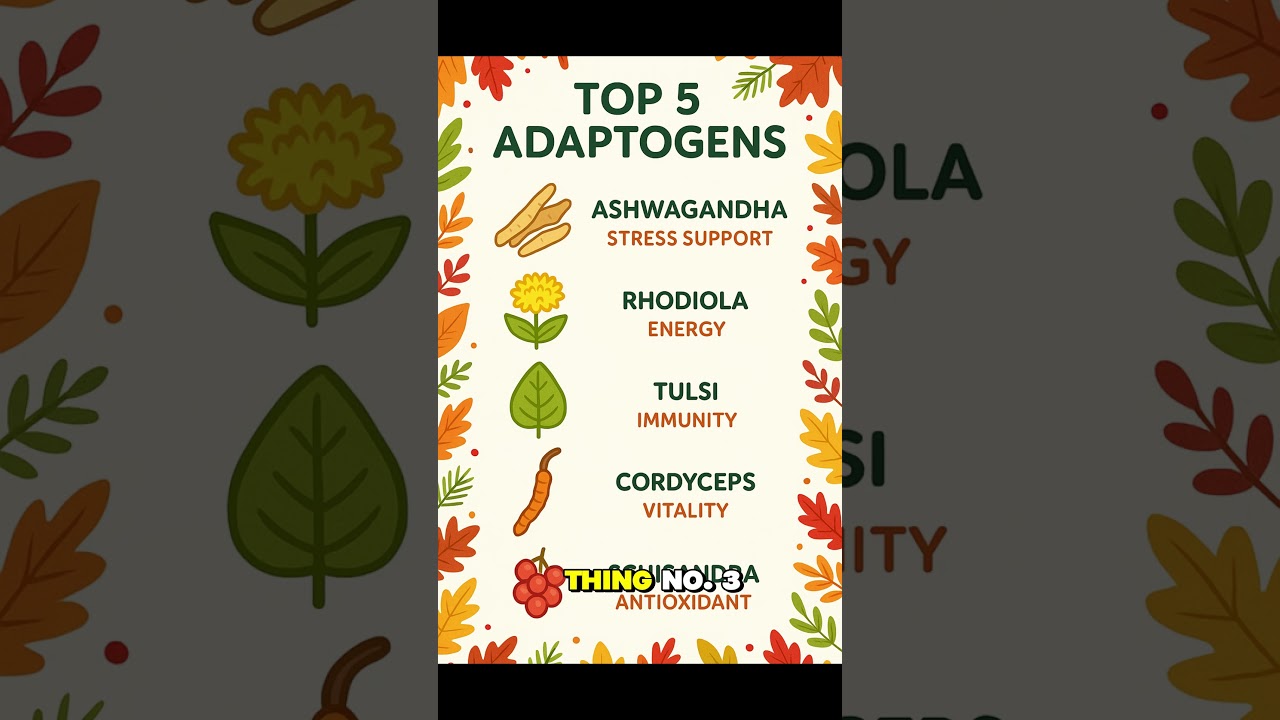 Top 5 Adaptogens for Fall Stress Relief & Holiday Gifts 🍂