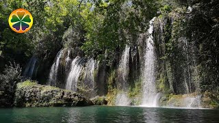 Водопад Шум Водопада Звуки Природы Для Расслабления И Отдыха