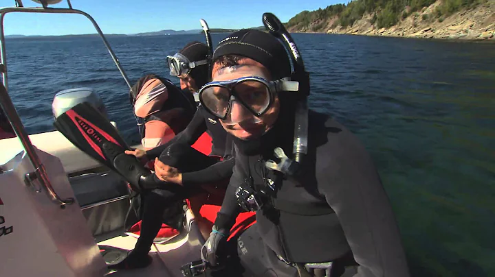 RMR: Rick Goes Snorkelling with Seals