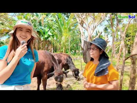 "Lumakas po yung produksyon nila, nag-increase po yung milk production daily." - Maam Gemma