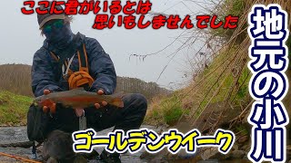 【フライフィッシング】北海道釣り 地元の小川で釣れました～笑　なんで　ここにニジマスが居るの？　japanese fly fishing