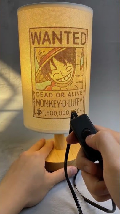 The best lamp ever #onepiece #luffy