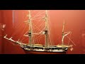 Im Licht der Evolution: Die Reise des Charles Darwin