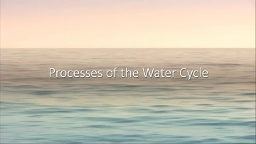 Processes of the Water Cycle (A-Level Geography)