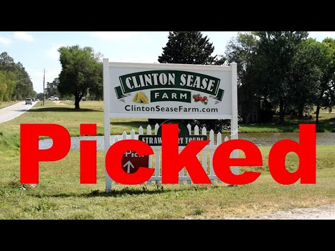 Word for Wednesday: Picked Word for Wednesday: Picked