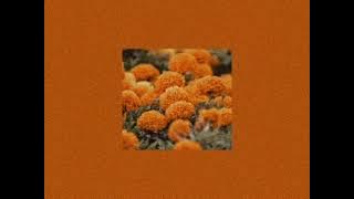 𝑨𝒏𝒈𝒆𝒍𝒂 𝑨𝒈𝒖𝒊𝒍𝒂𝒓 - 𝑳𝒍𝒐𝒓𝒐𝒏𝒂 (𝒔𝒍𝒐𝒘𝒆𝒅   𝒓𝒆𝒗𝒆𝒓𝒃)