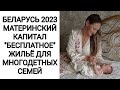 БЕЛАРУСЬ 2023. &quot;БЕСПЛАТНОЕ&quot; ЖИЛЬЁ ДЛЯ МНОГОДЕТНЫХ СЕМЕЙ/ МАТЕРИНСКИЙ КАПИТАЛ.ЧЕМ Я СЕЙЧАС ЗАНИМАЮСЬ?