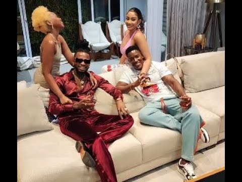 Tazama Diamond Platnumz na Zuchu wakutana na Zari na mumewe Shakib