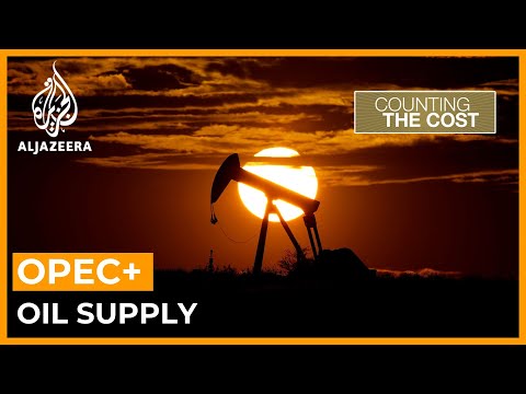 Why did OPEC+ slash oil output? | Counting the Cost