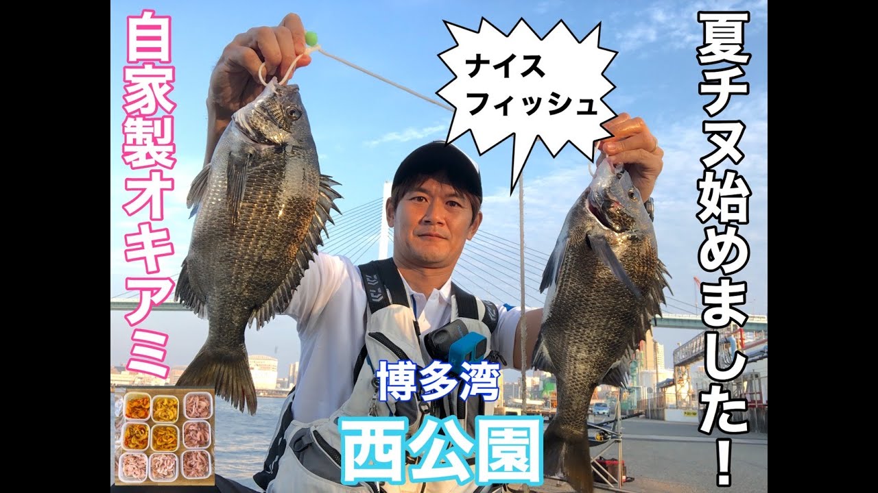 チヌ60です。他の方購入不可です。 博多湾、夏チヌ始めました！〜ゼロポインツTV〜 - YouTube