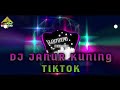 DJ JANUR KUNING VIRAL TIK TOK DUGEM HOUSE DANGDUT SEPANJANG MASA