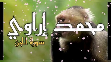 سورة الجن كاملة من أروع ماقرأ الشيخ محمد إراوي | من ليالي رمضان 1430/2009