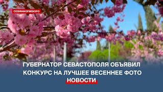 Весенний Город: Губернатор Севастополя Объявил Конкурс На Лучшее Фото