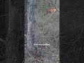 La Bataille De Patay A Fait Seulement 3 Morts La Bataille De Patay A Fait Seulement 3 Morts