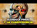  la glndula pineal el verdadero poder de la clarividencia