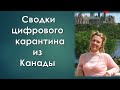 Мятеж на фондовой бирже/ мировая драма- ревущий котенок против хедж-фондов/мега пузырь битка