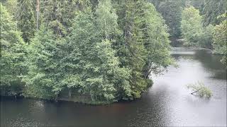🇪🇪 По парку в Палмсе. Durch den Park im Palmse.