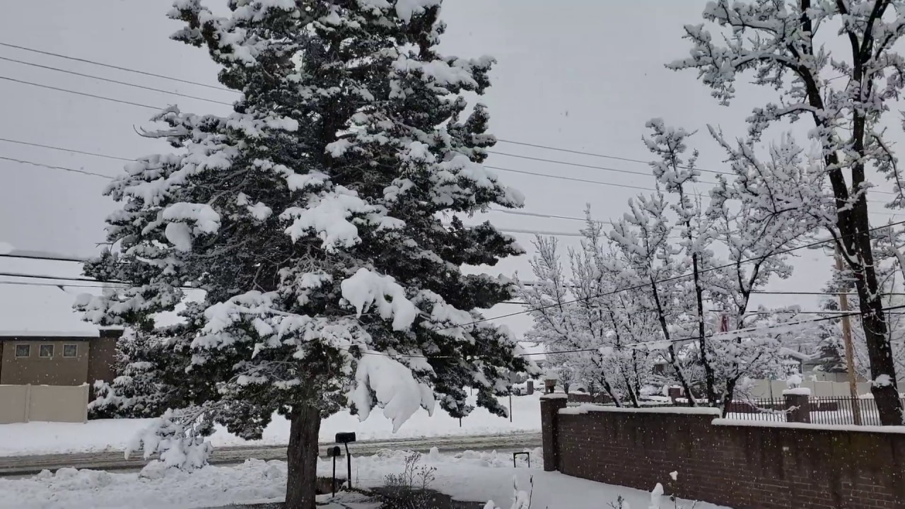 Salt Lake City Snow Storm January 21, 2019 YouTube