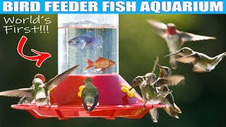 WORLD'S FIRST Bird Feeder Fish Aquarium!!! Monster Mike
