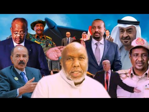 Feb 14 2026 Falenqayinta Arintax Nabadayinta Geeska Afrika Sheik Cabdiraxman Bachier 