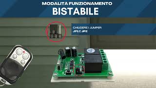 Le Guide Ricevente Cancello Automatico A 433,92 Mhz Con 2 Canali Da 12 A 24V In Corrente Continua