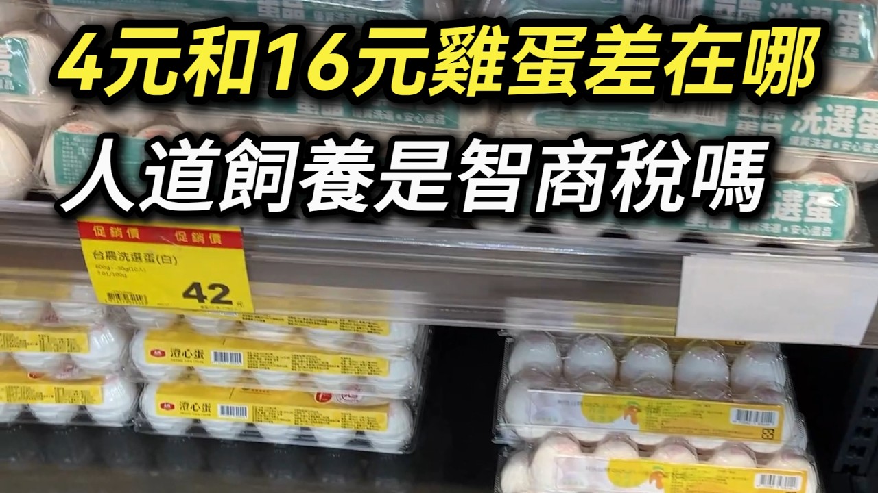 為什麼雞蛋價格可以差好幾倍? 貴的雞蛋比較營養還是人道飼養? 是智商稅嗎? 蛋價 洗選蛋 蛋雞 早餐店加蛋