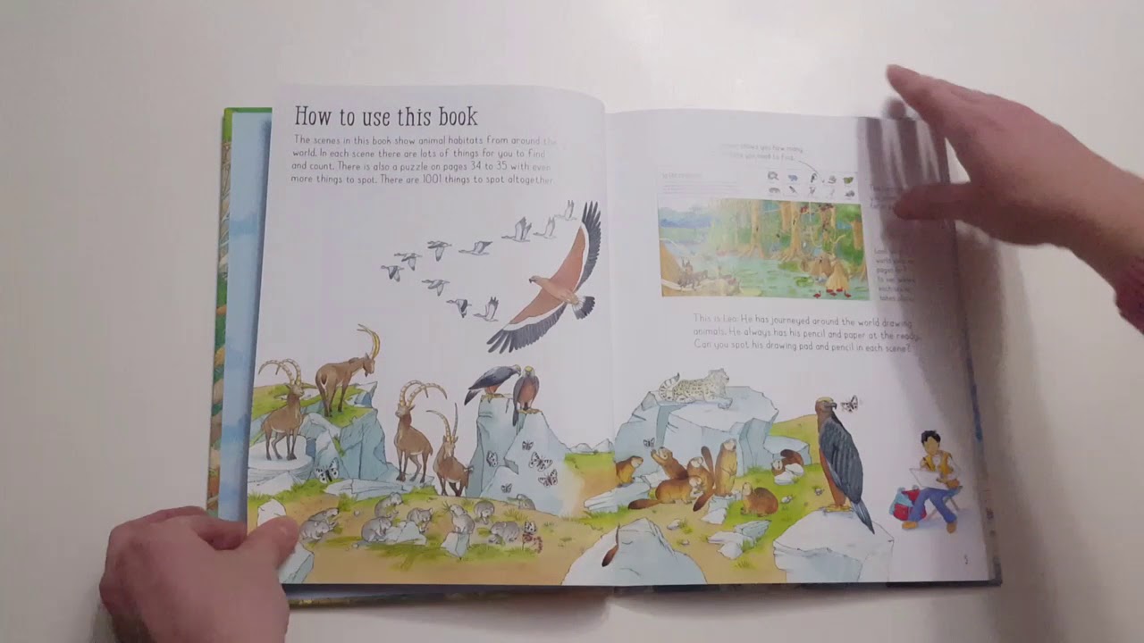 USBORNE 1001 ANIMALS TO SPOT YouTube