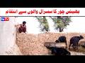 Number daar Bhains Chor Ka Susraal Intaqam New Funny Video |Most Comedy Funny Video | You Tv Hd 2025