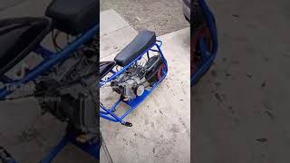 301cc   doddle bug  mini bike
