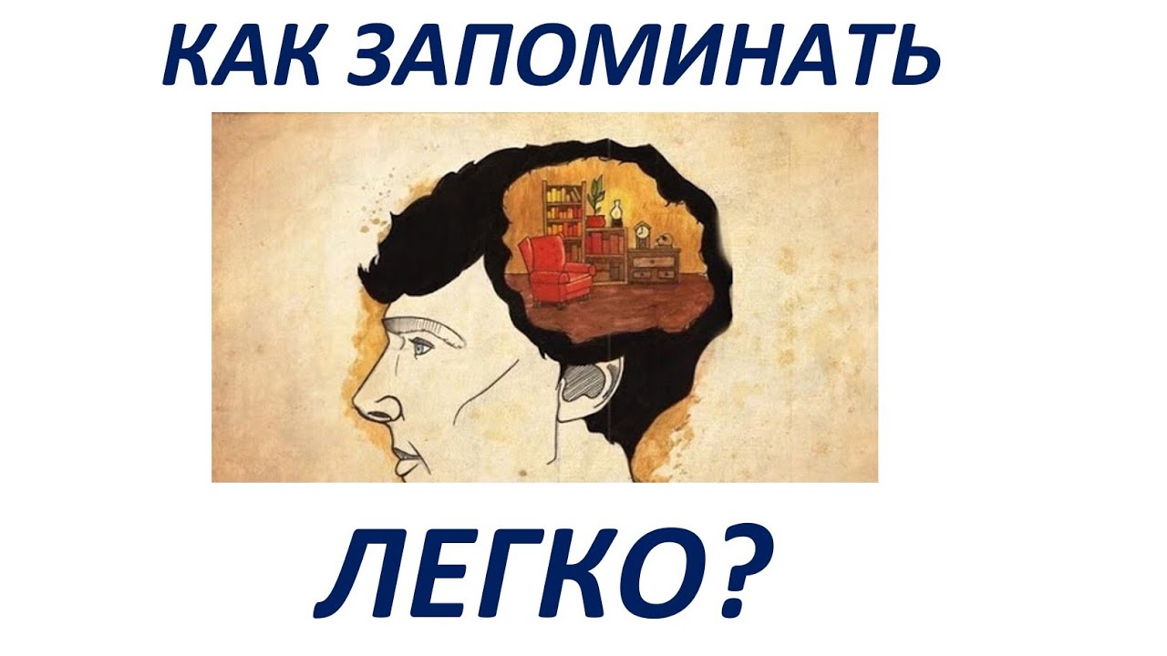 Как выучить историю быстро и легко. Как научиться запоминать информацию. как легко запоминать информацию. как запоминать информацию быстро и надолго. как запомнить много информации.