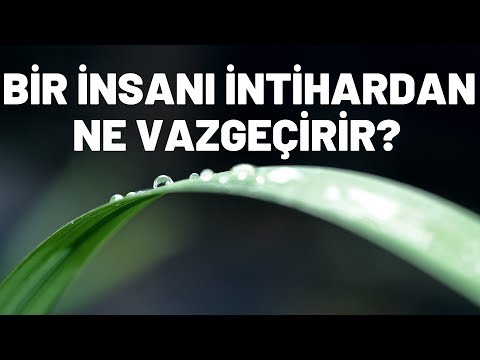 Bir İnsanı İntihardan Ne Vazgeçirir?