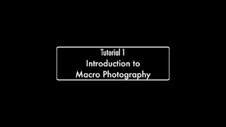 Macro Photography Tutorial - Part 1 Introduction to macro photography