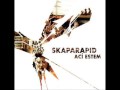 Skaparapid - Konfesion