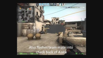 LDLC short /  cat plant strat dust2